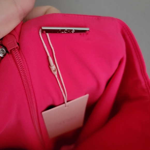 Alexis Villette Skirt in Pink size S NWT - Picture 5 of 8